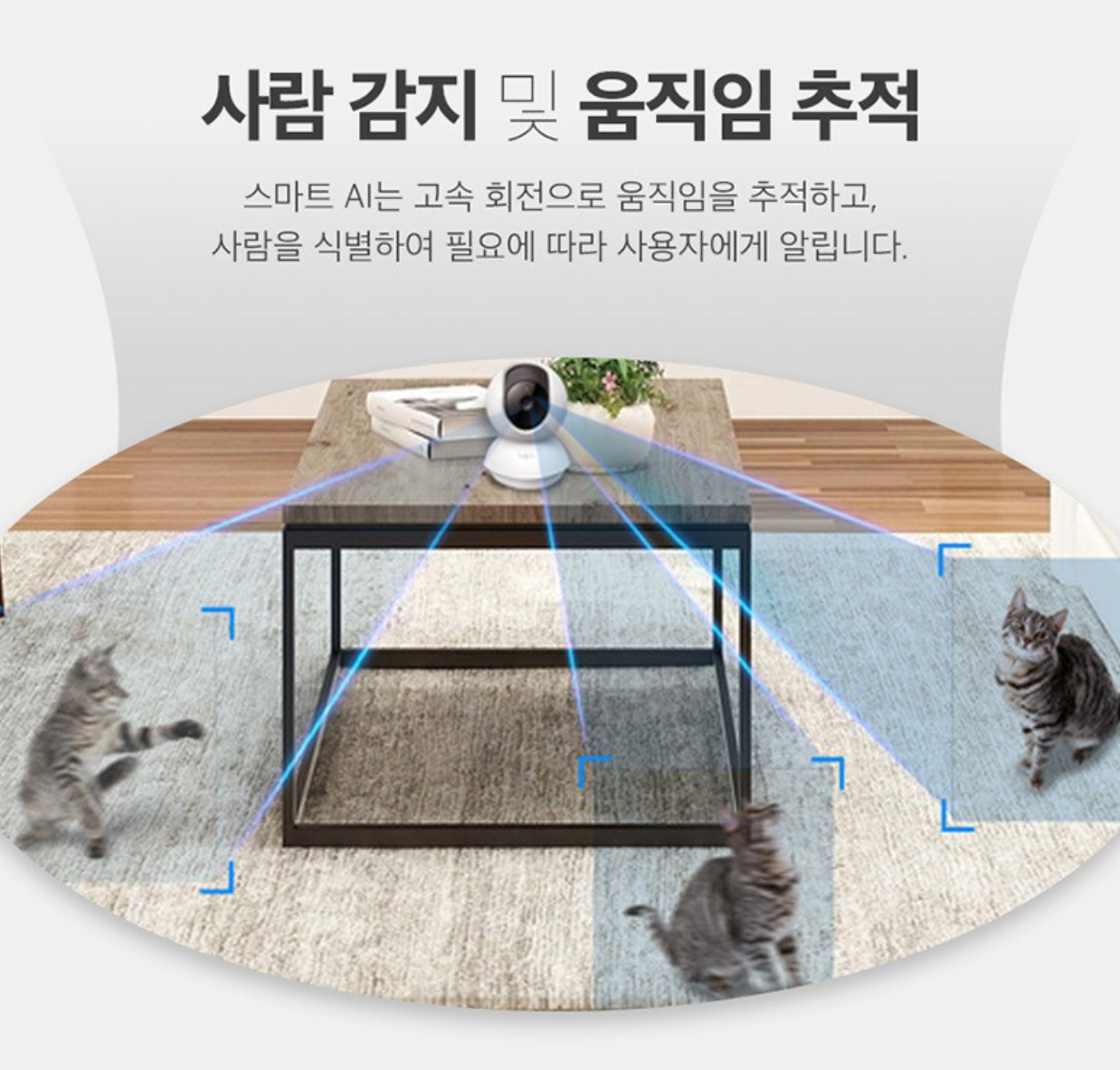 가성비 홈 보안, 타포 실내용 WiFi 카메라 사용 후기